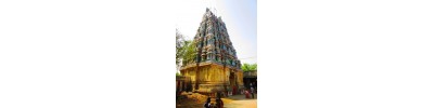 25. திருமணஞ்சேரி